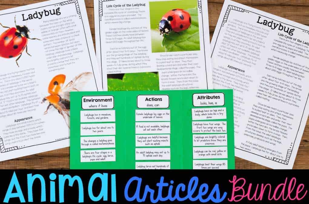 Animal Articles Informational Articles Qr Codes Fact Sorts